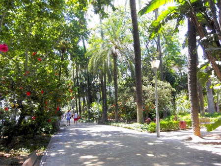 Parque de Málaga - პარკი